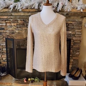 🆕🎁Apt 9 Chiffon Lined Sequin Vee Pullover